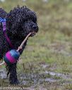 20190818-mwd-0034