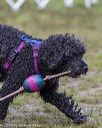 20190818-mwd-0035