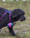 20190818-mwd-0036
