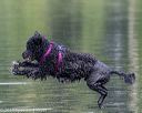 20190818-mwd-0048