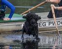 20190818-mwd-0058