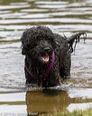 20190818-mwd-0066