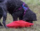20190818-mwd-0069