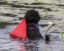 20190818-mwd-0085