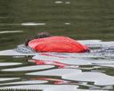 20190818-mwd-0091