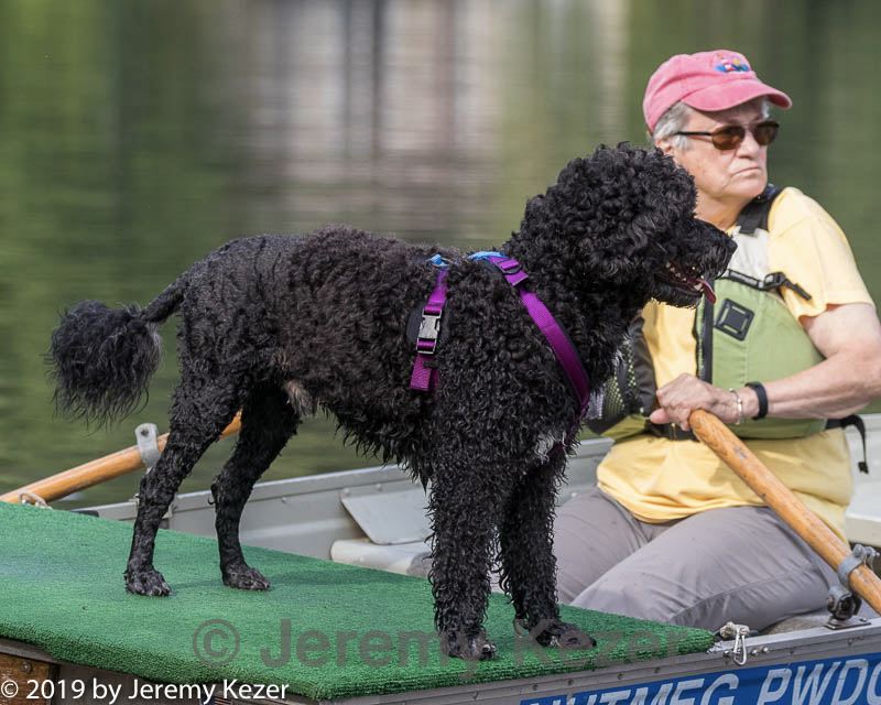 20190818-mwd-0004.jpg