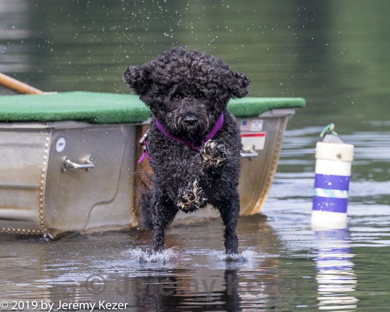 20190818-mwd-0009.jpg