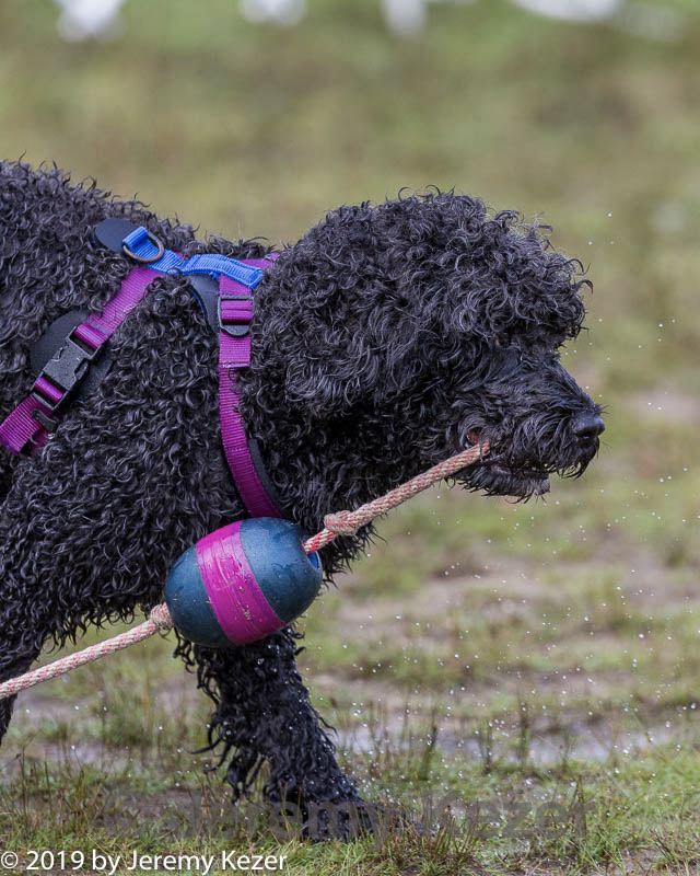20190818-mwd-0036.jpg