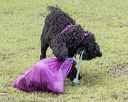20190818-wwd-0002