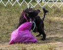 20190818-wwd-0012
