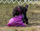 20190818-wwd-0013