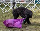 20190818-wwd-0014