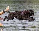 20190818-wwd-0019