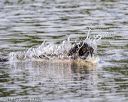 20190818-wwd-0022