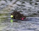 20190818-wwd-0024