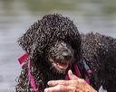 20190818-wwd-0079