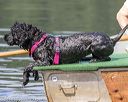 20190818-wwd-0086