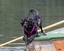 20190818-wwd-0098