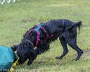 20190818-wwd-0112