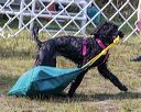 20190818-wwd-0127