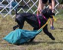 20190818-wwd-0129