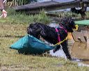 20190818-wwd-0131