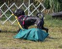 20190818-wwd-0137