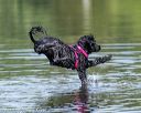 20190818-wwd-0141