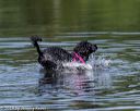 20190818-wwd-0142