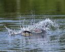 20190818-wwd-0143