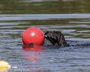 20190818-wwd-0153