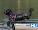 20190818-wwd-0159