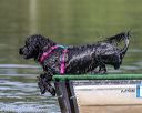 20190818-wwd-0161