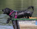 20190818-wwd-0165