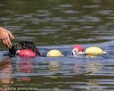 20190818-wwd-0185
