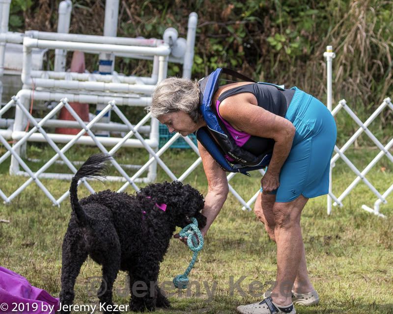 20190818-wwd-0015.jpg