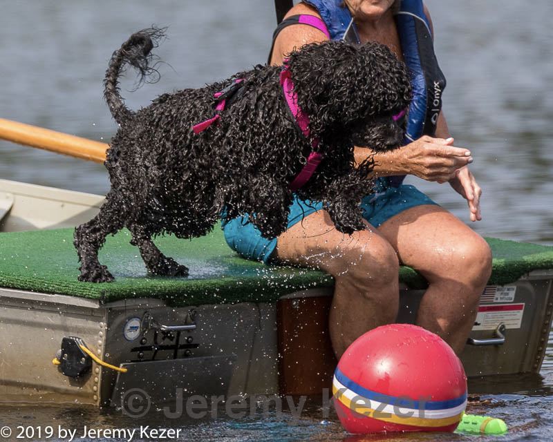 20190818-wwd-0030.jpg