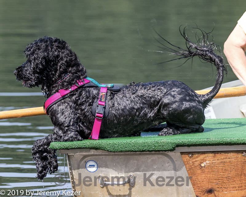 20190818-wwd-0088.jpg