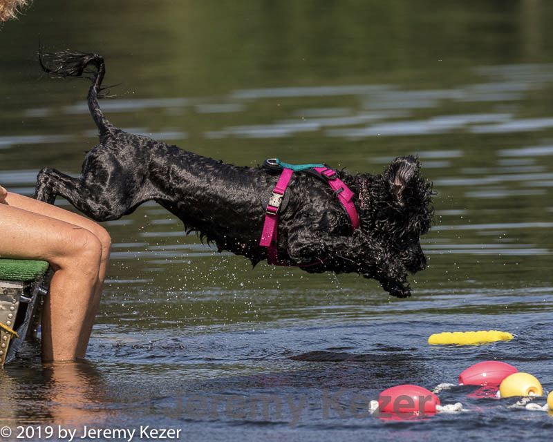 20190818-wwd-0147.jpg