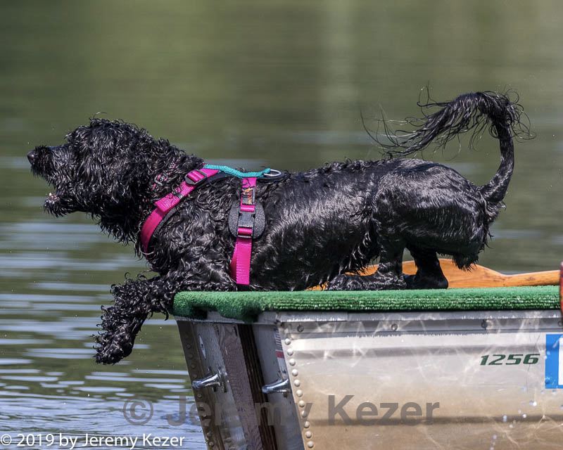 20190818-wwd-0165.jpg