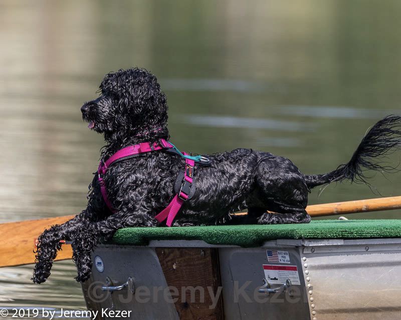 20190818-wwd-0171.jpg