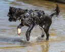 20190921-awd-0017