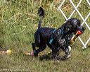 20190921-awd-0125