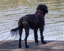 20190921-awd-0214