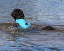 20190921-awd-0226