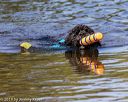 20190921-awd-0282