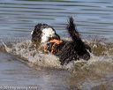 20190921-awd-0528