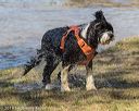 20190921-awd-0638