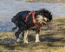 20190921-awd-0640