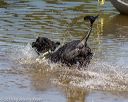20190921-awd-0686